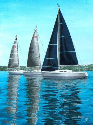 Regatta- sailboats on the lake