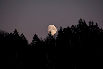 Crepúsculo lunar
