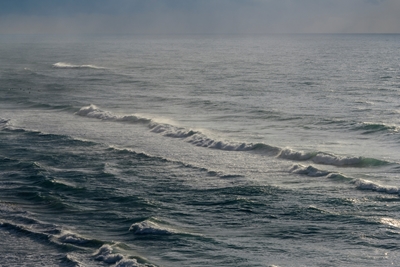 Surf de Invierno IX
