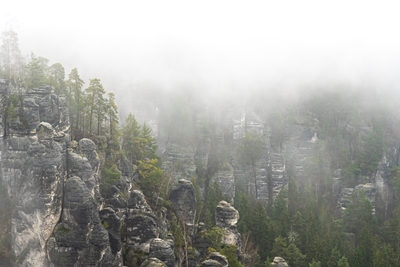 Mundo de rocha de arenito na neblina