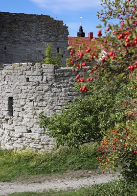 Stadtmauer von Visby