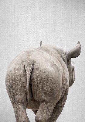 Queue de rhinocéros