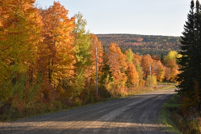 The lake road in autumn