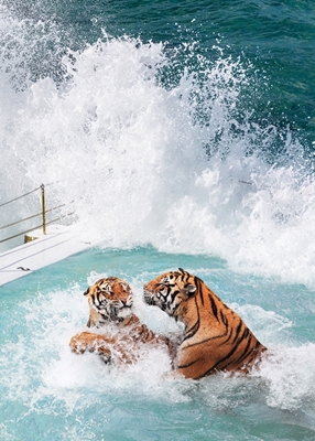 Tigers basseng