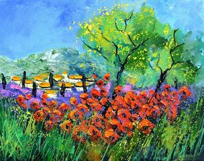 Rote Mohnblumen in der Provence 5423