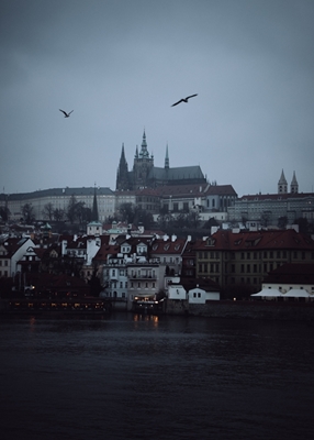 Moody Prague