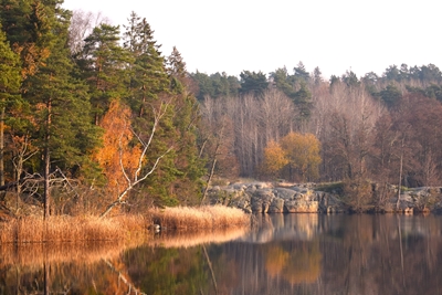 The lake i autumn colors