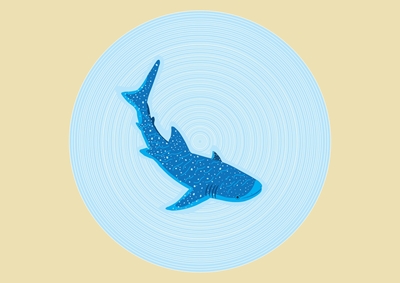 The Whale Shark