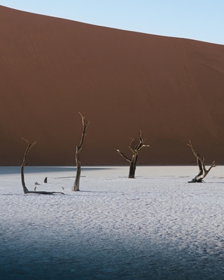 Pustynia Namibia