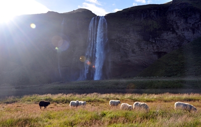 Cachoeira islandesa