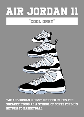 Jordan 11 Cool Grau