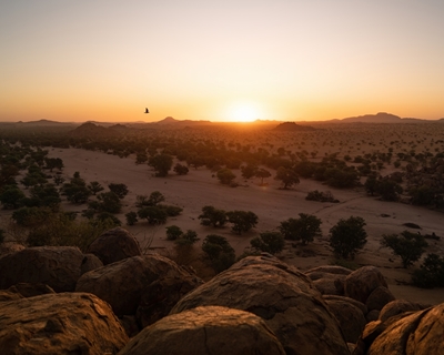 Solnedgang i Afrika