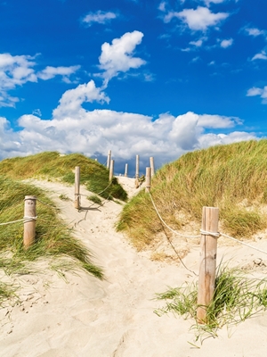 Sentiero tra le dune fino al mare