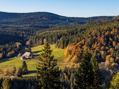 Schwarzwaldhaus im Schwarzwald