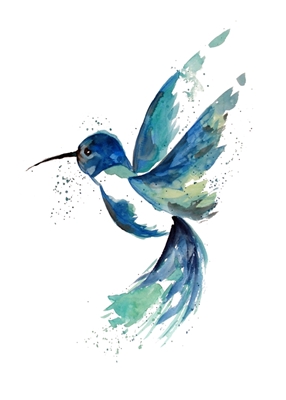 Niebieski koliber
