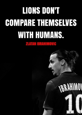 Citações de Zlatan Ibrahimovic