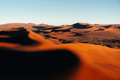 Le plus vieux désert du monde