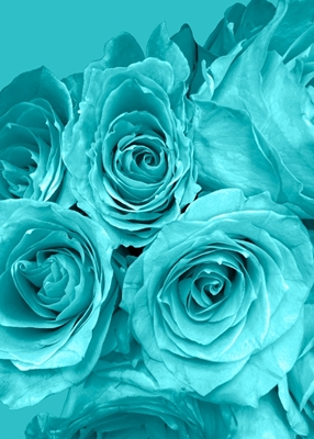 Floral - Blue Rose Love