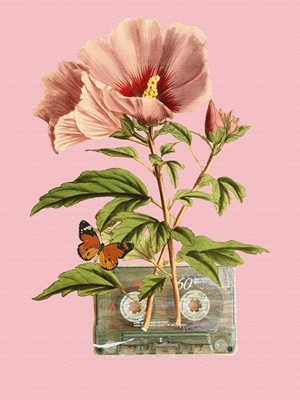 flower and cassette tape colla