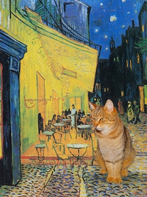Terasa kočičí kavárny