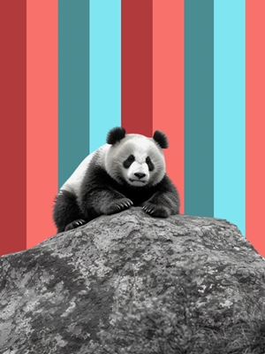 Panda Arte Pop