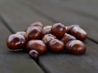 Chestnuts on a table