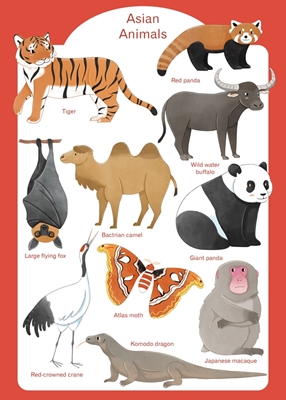 Asiatiska djur