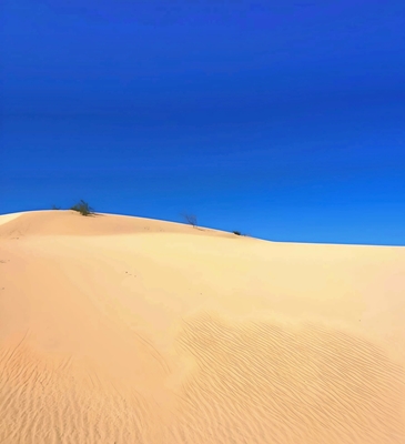 Las dunas de Corralejo