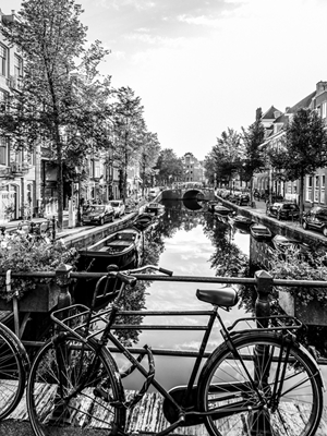 Rower i kanał - Amsterdam