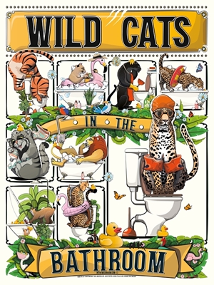 Gatos selvagens no banheiro