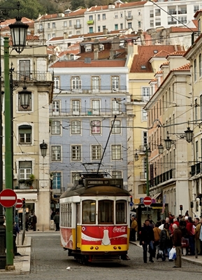 Old town and tram