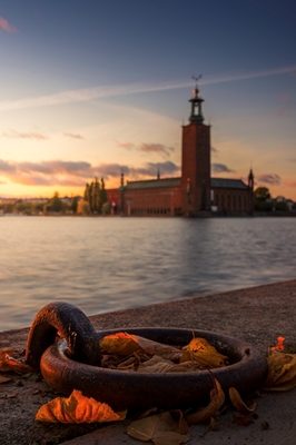 Stockholm rådhus om høsten