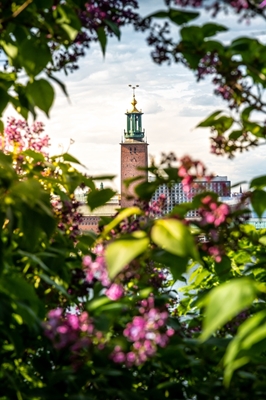Prefeitura de Estocolmo no verão 