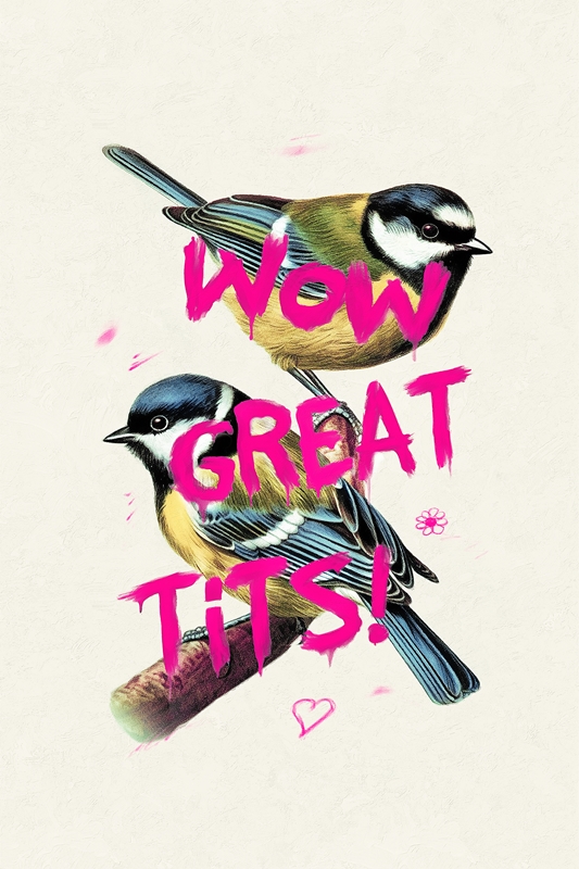 Wow Great Tits Posters And Prints By Jonas Loose Printler 