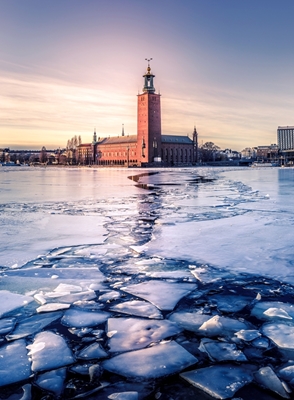 Stockholmská radnice v zimě