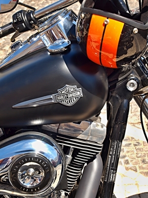 Motor og tank Harley Davidson