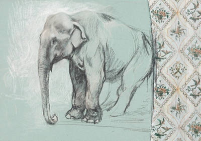 El elefante del papel pintado