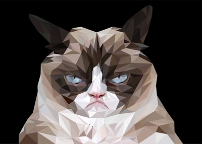 Grumpy katt meme