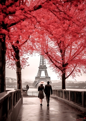 Den tidløse skjønnheten i Paris