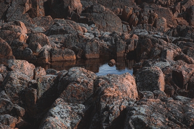 Pozzanghera in granito di L.Jonsson