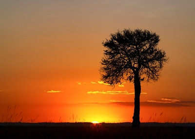 Zachód słońca w Mara