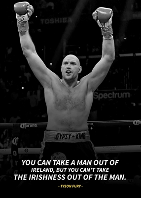 Tyson Fury quotes 