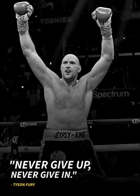 Tyson Fury quotes 