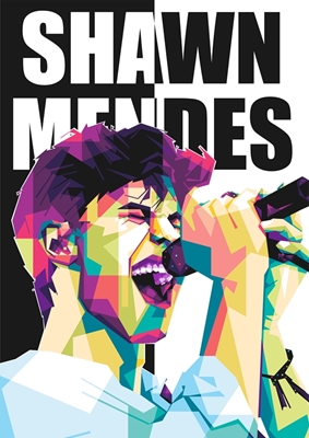 Shawn Mendes pop art stil 
