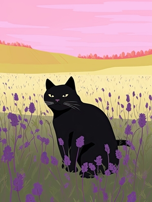 Black Cat in a Field