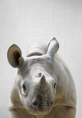 Bebê rinoceronte