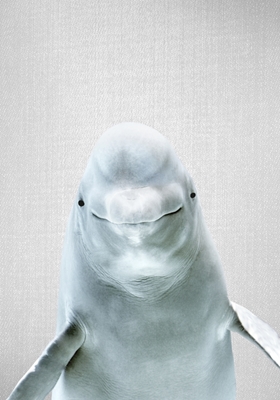 Baleia Beluga