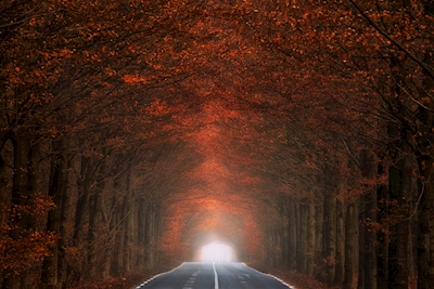 Tunnel of fire