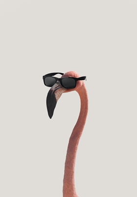 Flamingo - "Inga kommentarer"