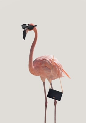 Filmic flamingo finesse